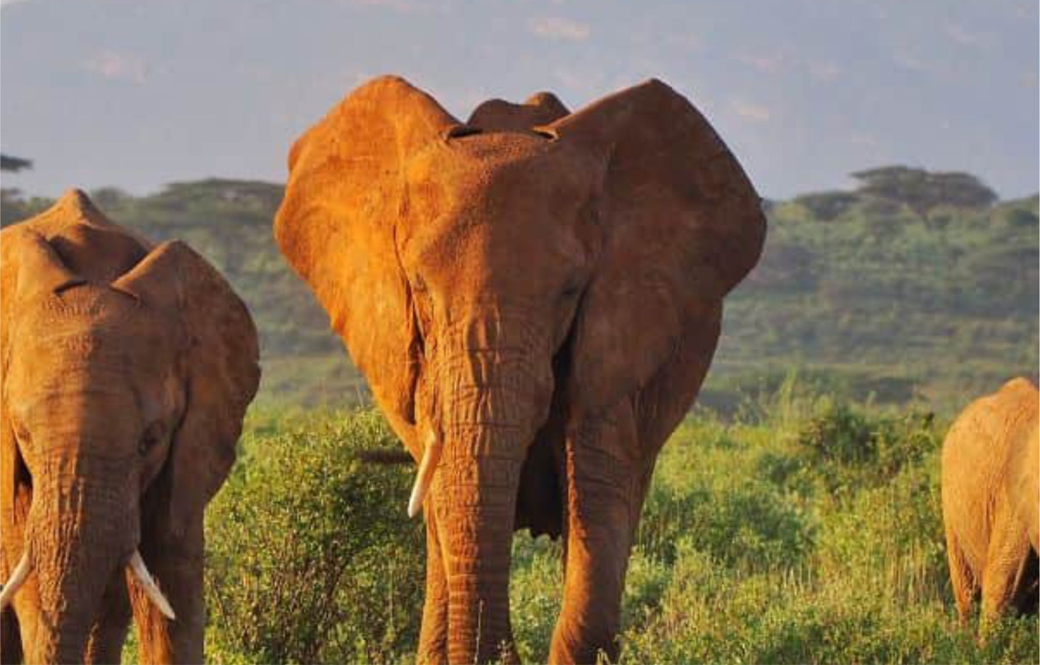 Samburu National Park